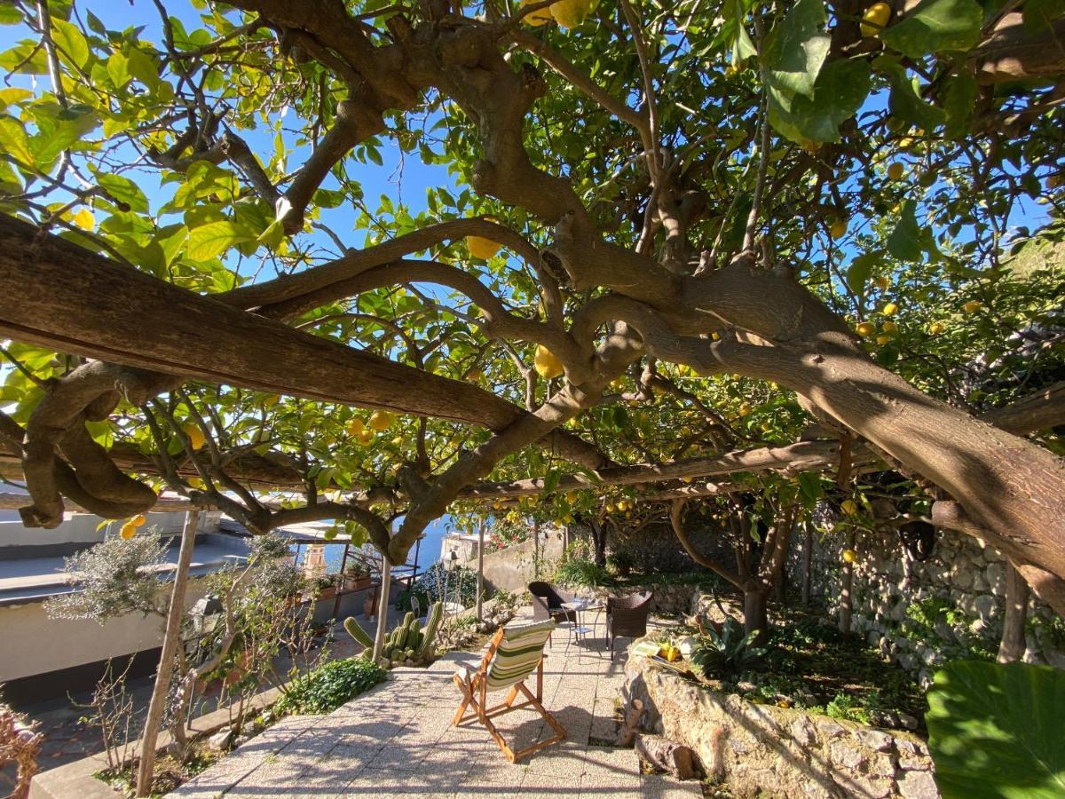 Villa Giardino Eden Praiano Esterno foto